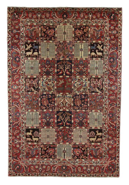 Bakhtiar 308 x 208 cm