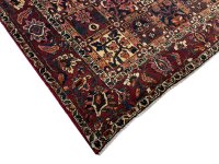 Bakhtiar 305 x 207 cm