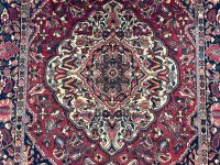 Bakhtiar 306 x 210 cm