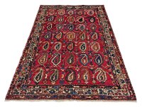 Bakhtiar 230 x 156 cm