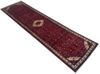 Hosseinabad 310 x 80 cm